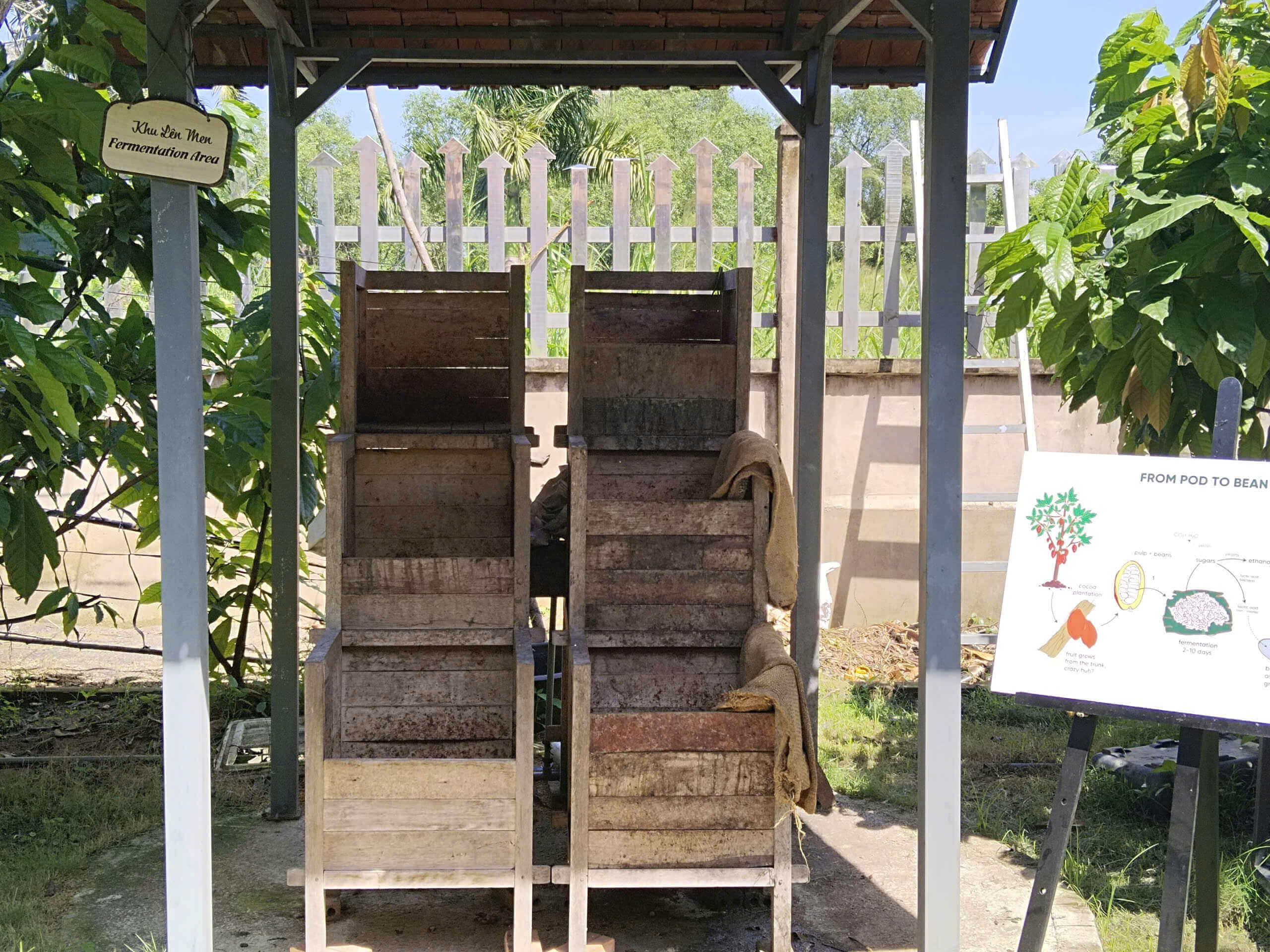 Khu vực ủ hạt cacao