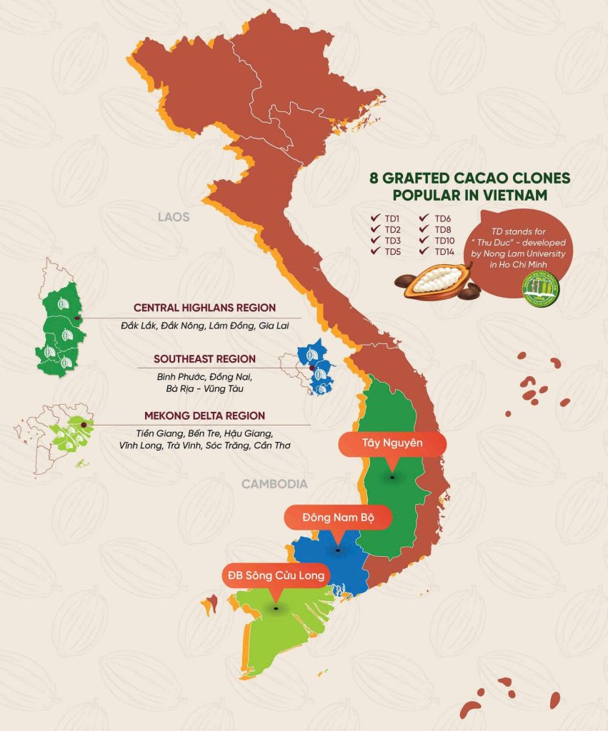 Những nơi trồng cacao nhiều nhất ở Việt Nam.