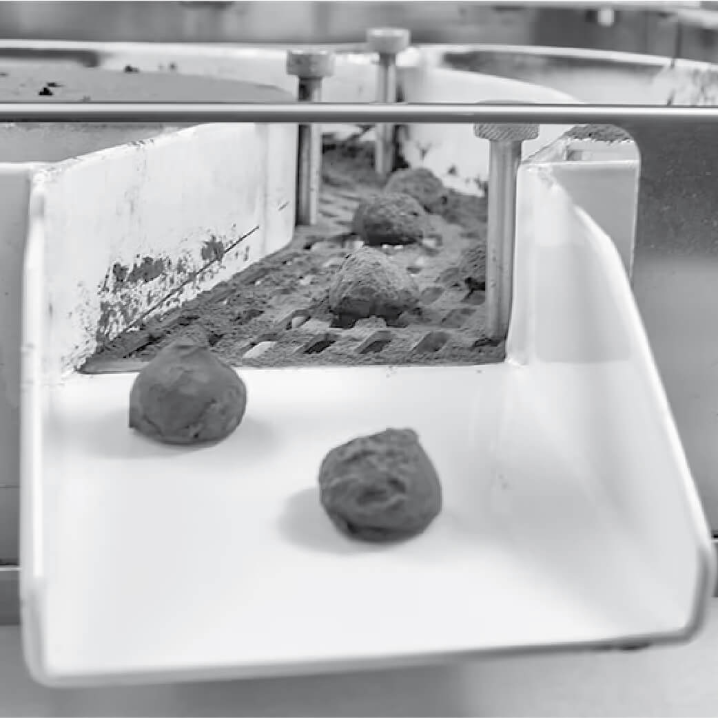 CHOCO_AUTO TRUFFLE-78