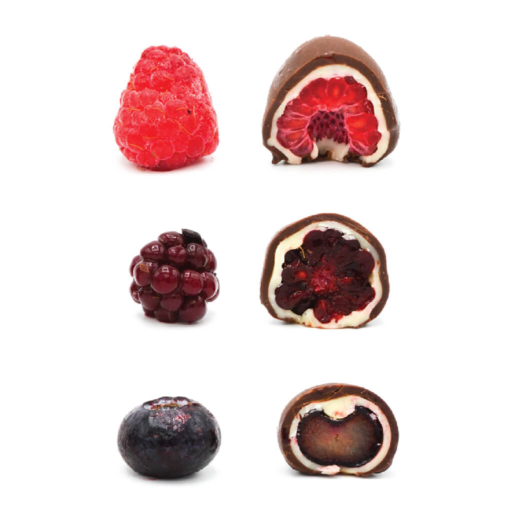 CHOCO_FROZEN FRUIT-107