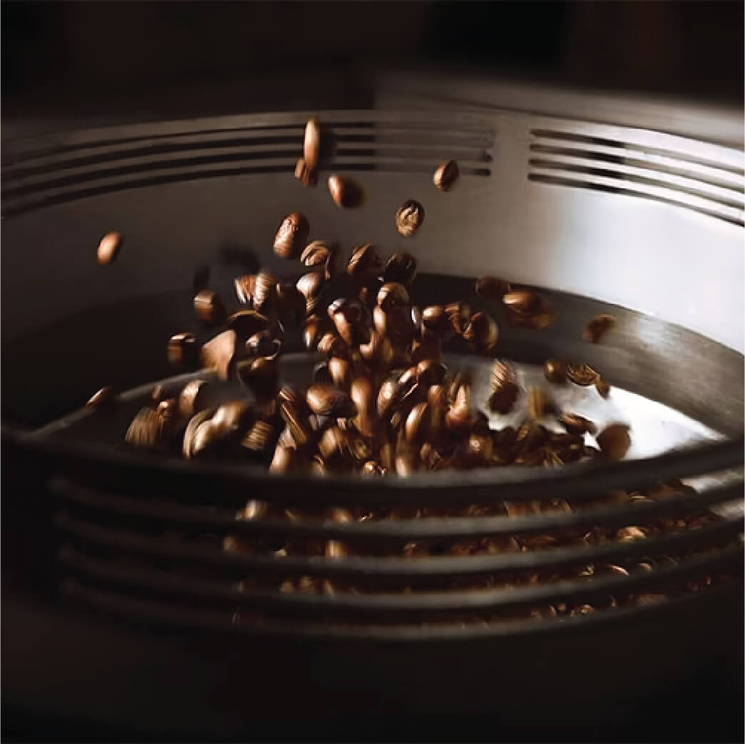 CHOCO_SELMI ROASTER 106-04