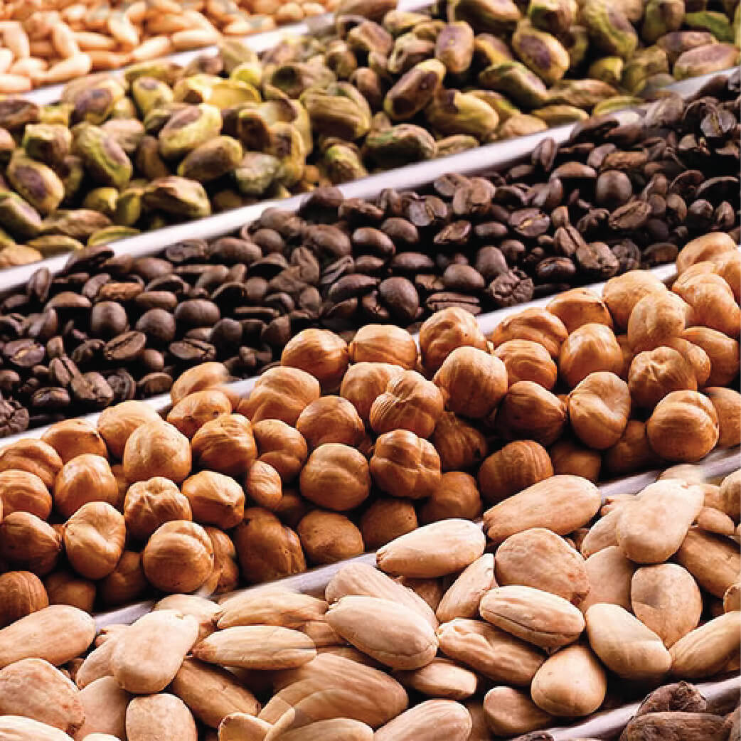 CHOCO_SELMI ROASTER 106-05