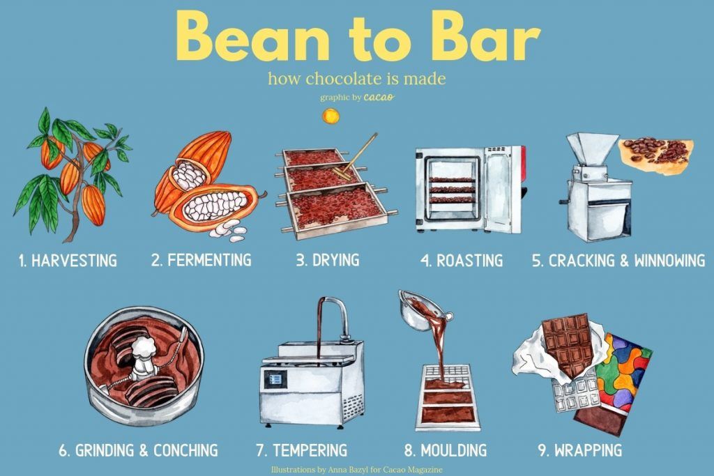 Sô cô la nguyên chất -quy trình Bean to Bar – kiểm soát chặt chẽ từ hạt cacao đến thành phẩm.