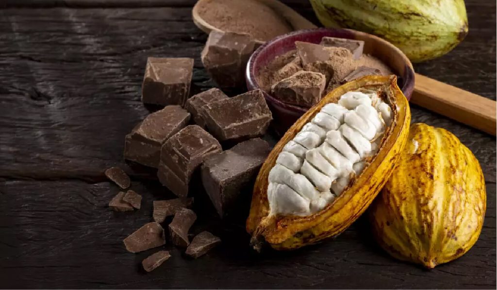 Chocolate ingredients start with fresh cocoa beans – the first step to creating socially responsible bars.
