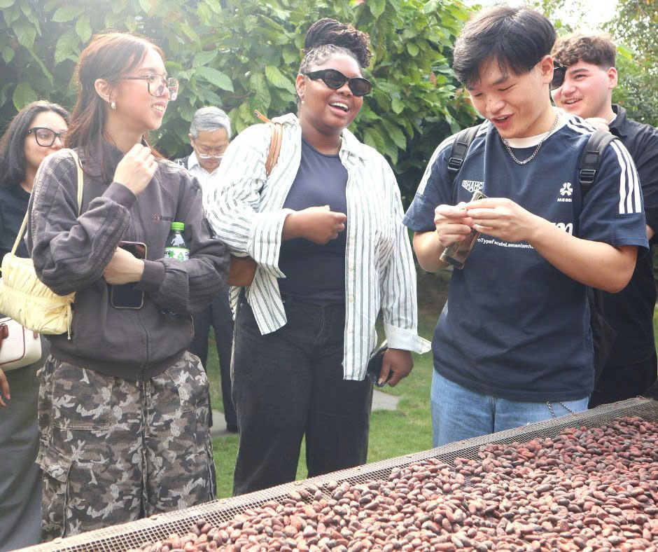 Khách tham gia trải nghiệm tasting chocolate, thưởng thức chocolate thủ công chất lượng cao và học cách nhận biết hương vị tinh tế.