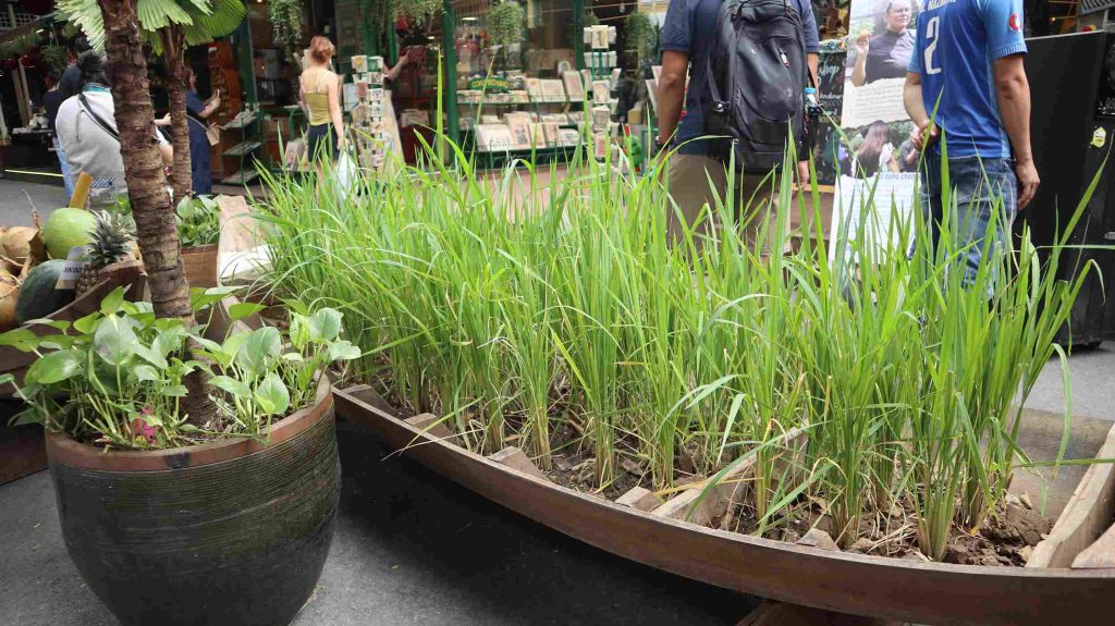 Mô hình xuồng chở mạ và lúa tái hiện đời sống sông nước của văn minh lúa nước tại sự kiện Văn Minh Lúa Nước Đồng Bằng Sông Cửu Long.