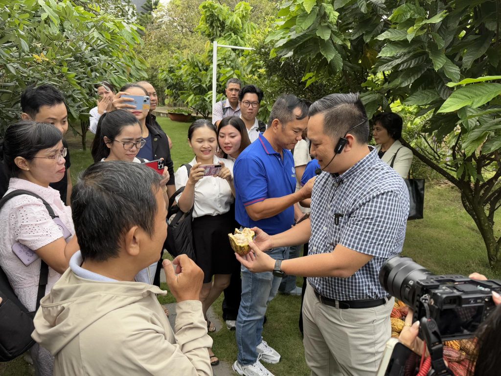 Khách study tour tham quan vườn cacao và trải nghiệm cacao tươi.