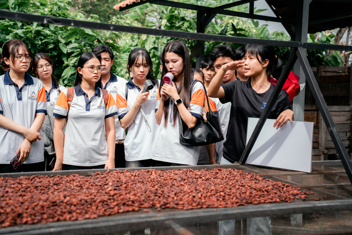 trai-nghiem-tham-quan-vuon-cacao-thuc-te